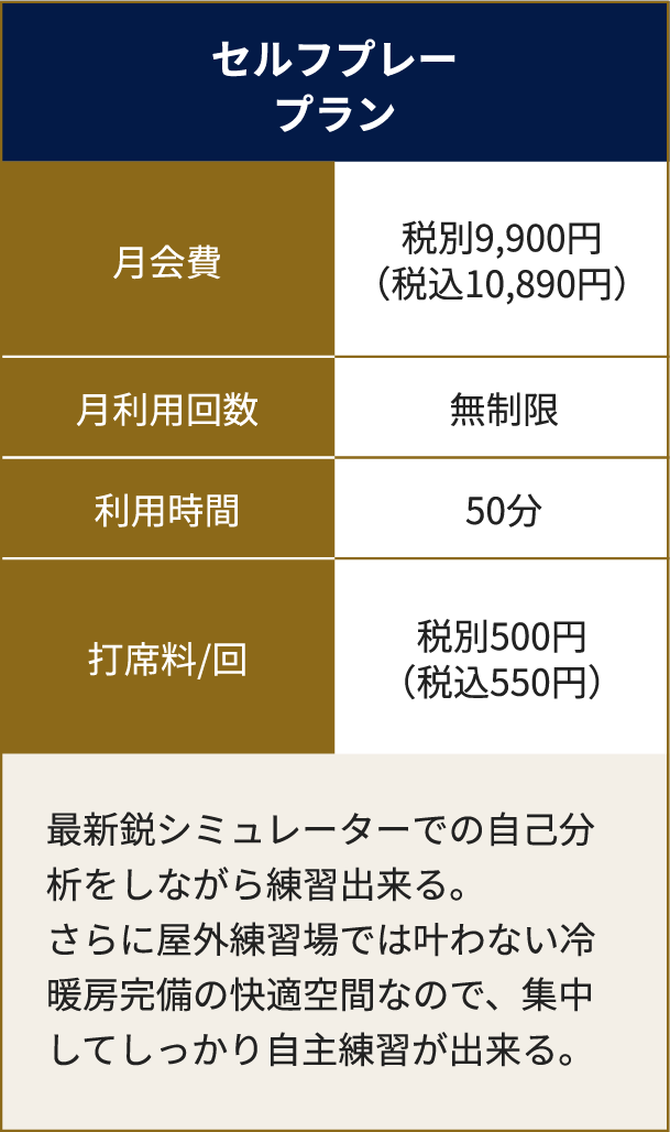 セルフプレープラン